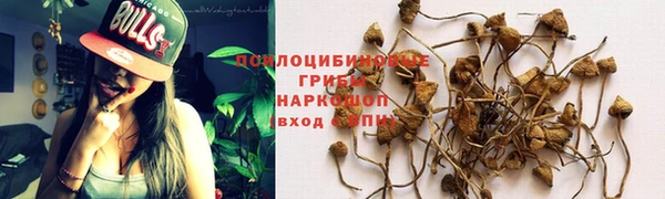 МДМА Вяземский
